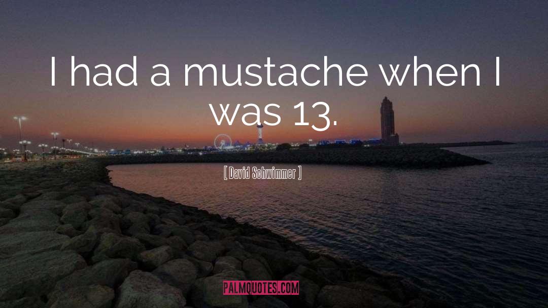 Mustache quotes by David Schwimmer