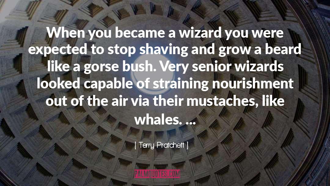 Mustaches quotes by Terry Pratchett