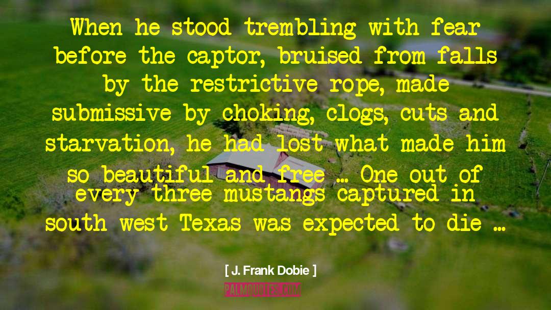 Mustangs quotes by J. Frank Dobie