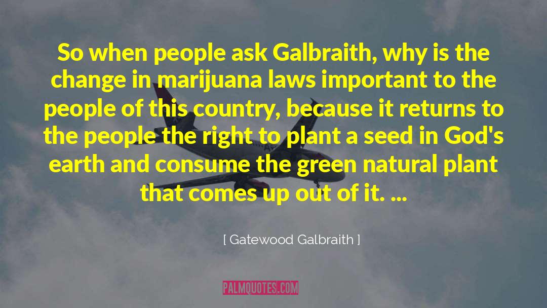 Mustard Seed quotes by Gatewood Galbraith