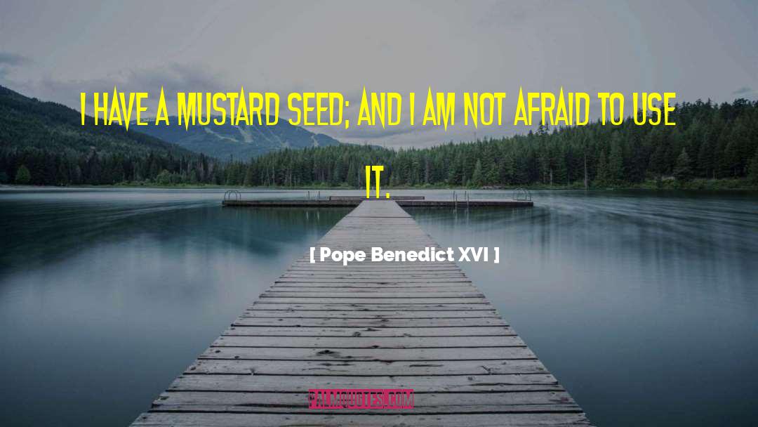 Mustard Seed quotes by Pope Benedict XVI