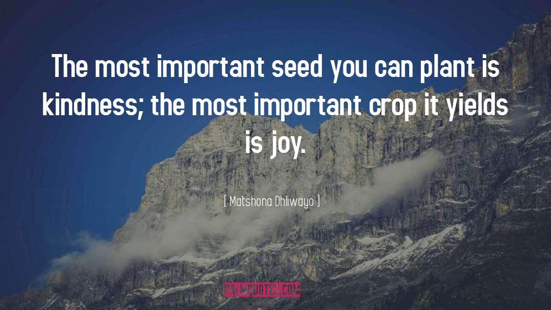 Mustard Seed quotes by Matshona Dhliwayo