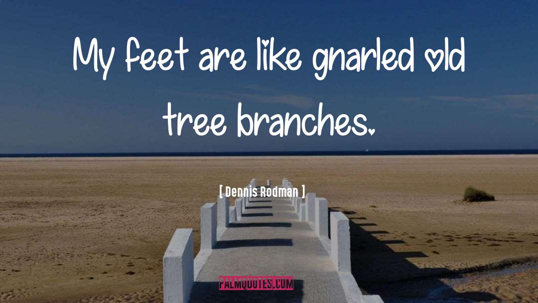 Mutchie Tree quotes by Dennis Rodman
