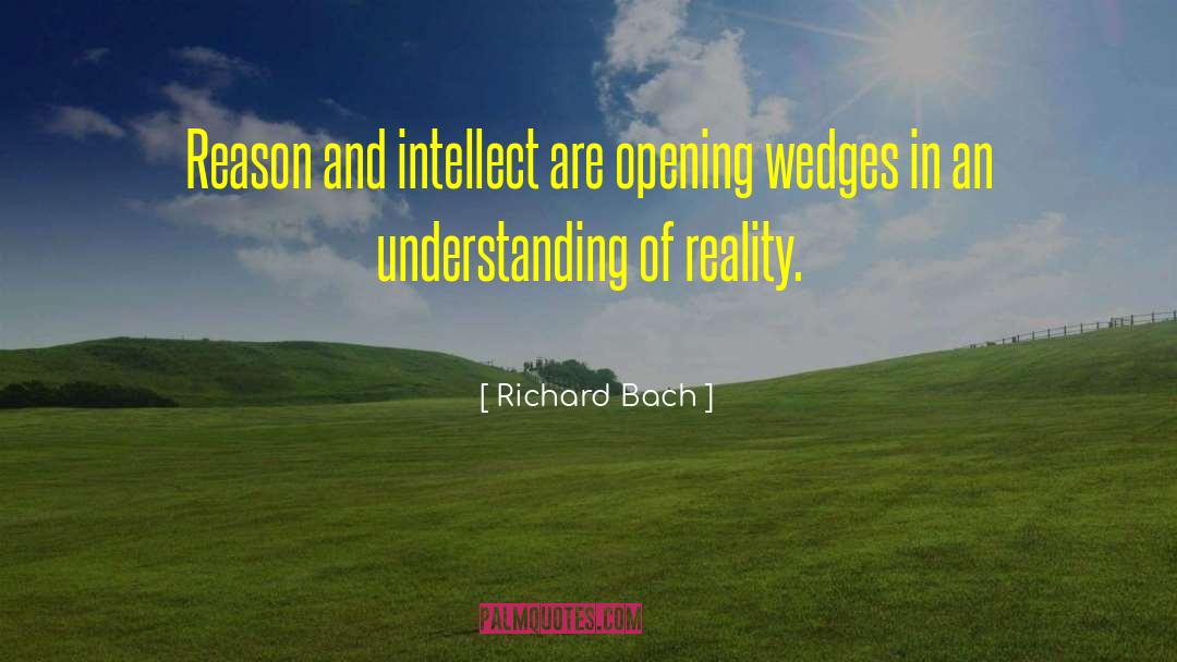 Mutual Understanding quotes by Richard Bach