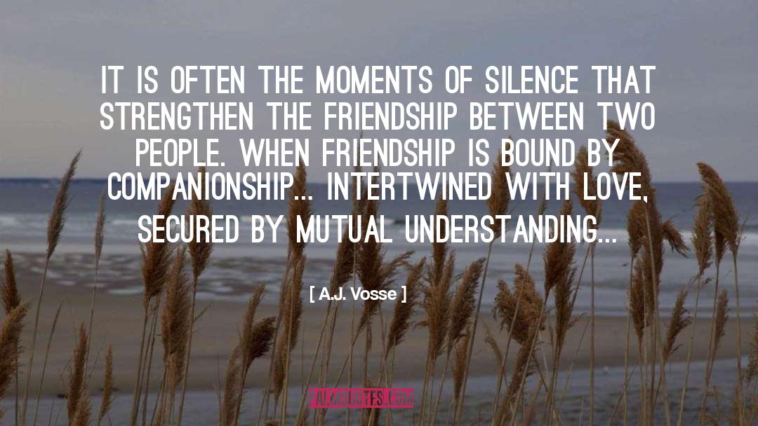 Mutual Understanding quotes by A.J. Vosse