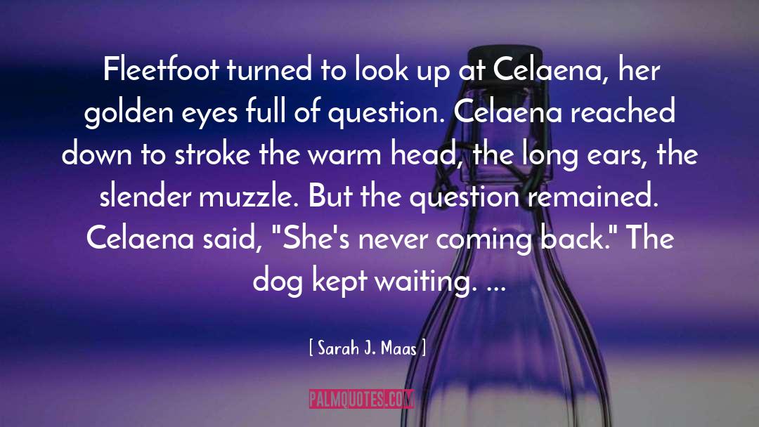 Muzzle quotes by Sarah J. Maas