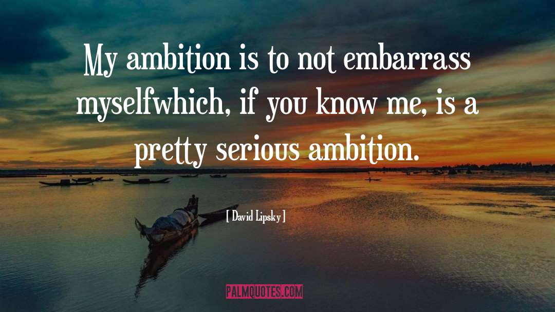 My Ambition quotes by David Lipsky