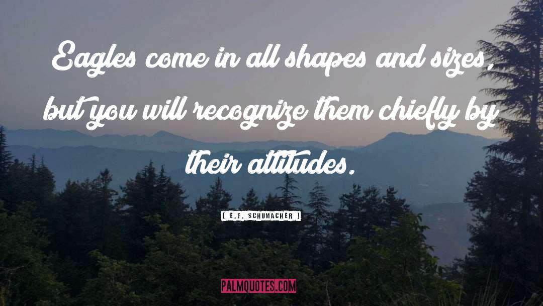 My Attitude quotes by E.F. Schumacher
