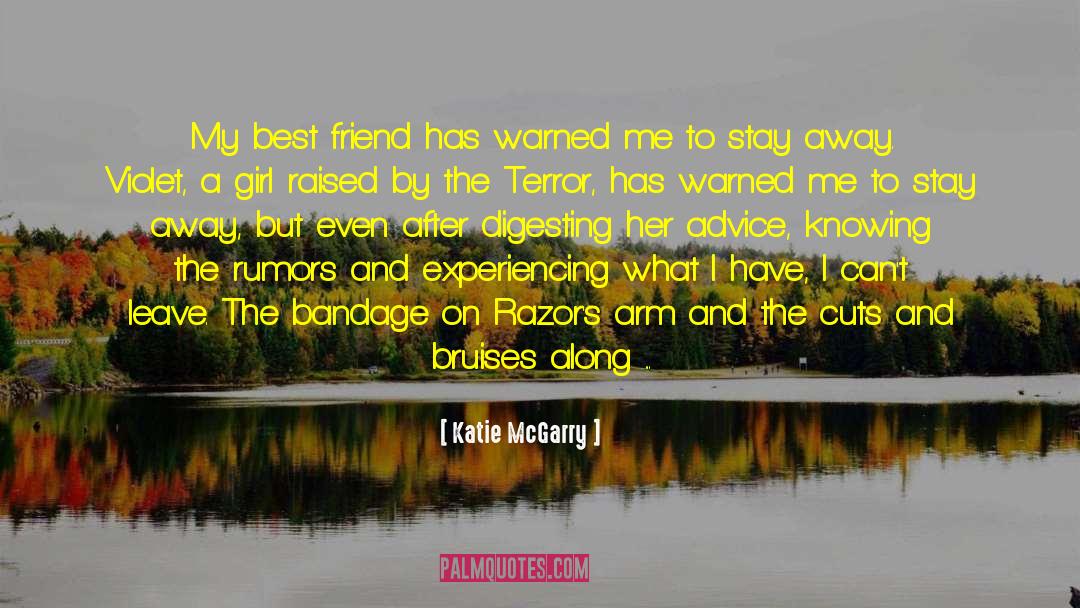 My Best Friend Is A Girl quotes by Katie McGarry