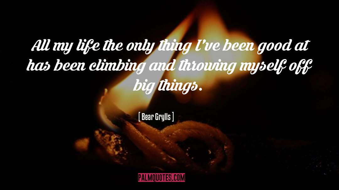 My Big Brother quotes by Bear Grylls