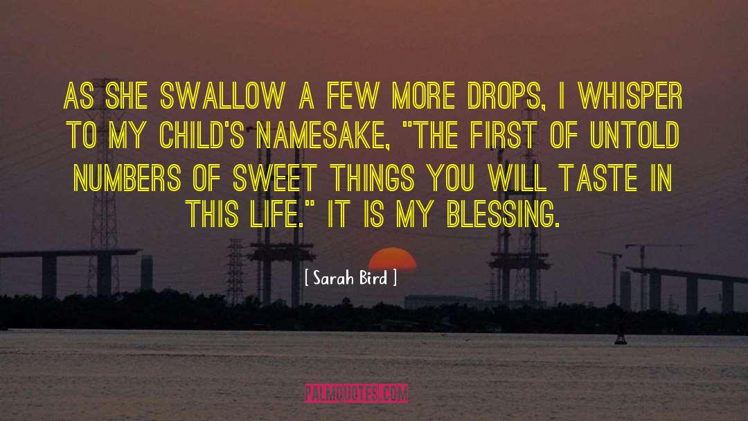 My Blessing quotes by Sarah Bird
