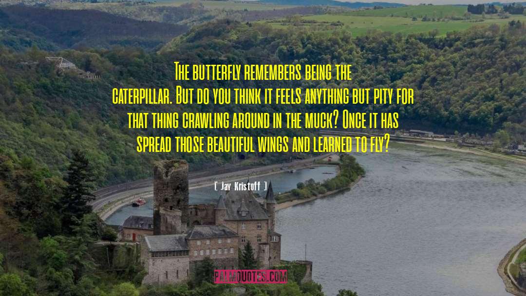 My Butterfly quotes by Jay Kristoff