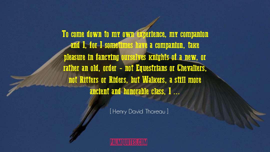My Chivalric Fiasco quotes by Henry David Thoreau