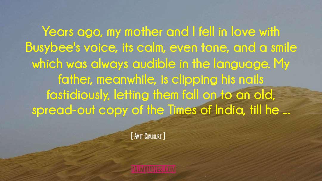 My Copy Is A Hardcover quotes by Amit Chaudhuri