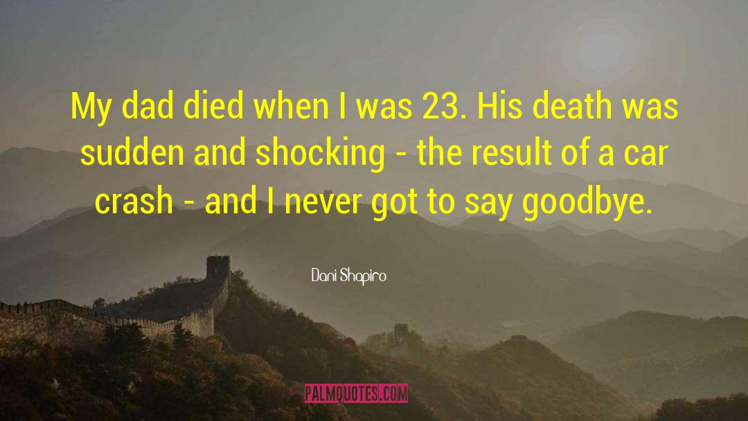 My Dad Died quotes by Dani Shapiro