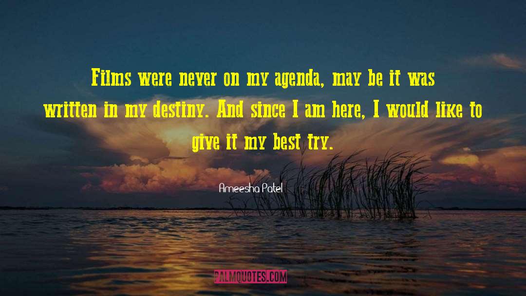 My Destiny quotes by Ameesha Patel