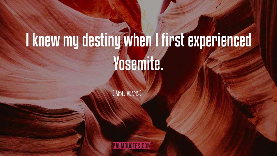 My Destiny quotes by Ansel Adams