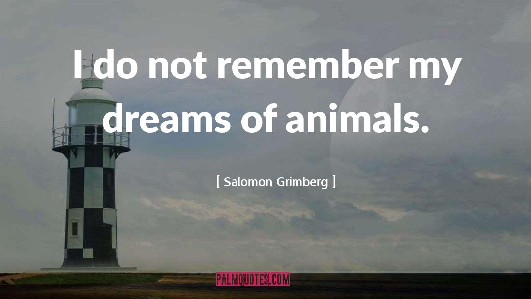 My Dreams quotes by Salomon Grimberg