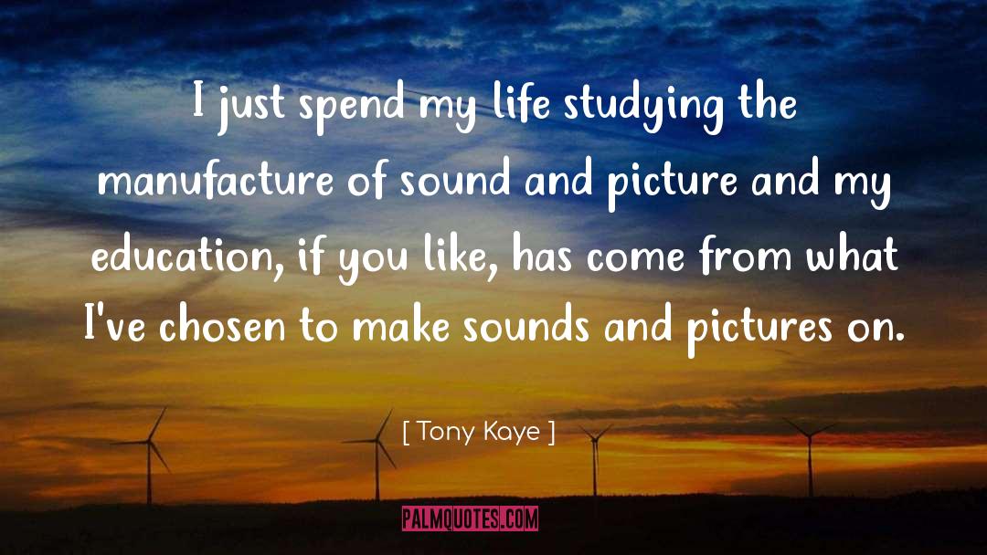 My Education quotes by Tony Kaye