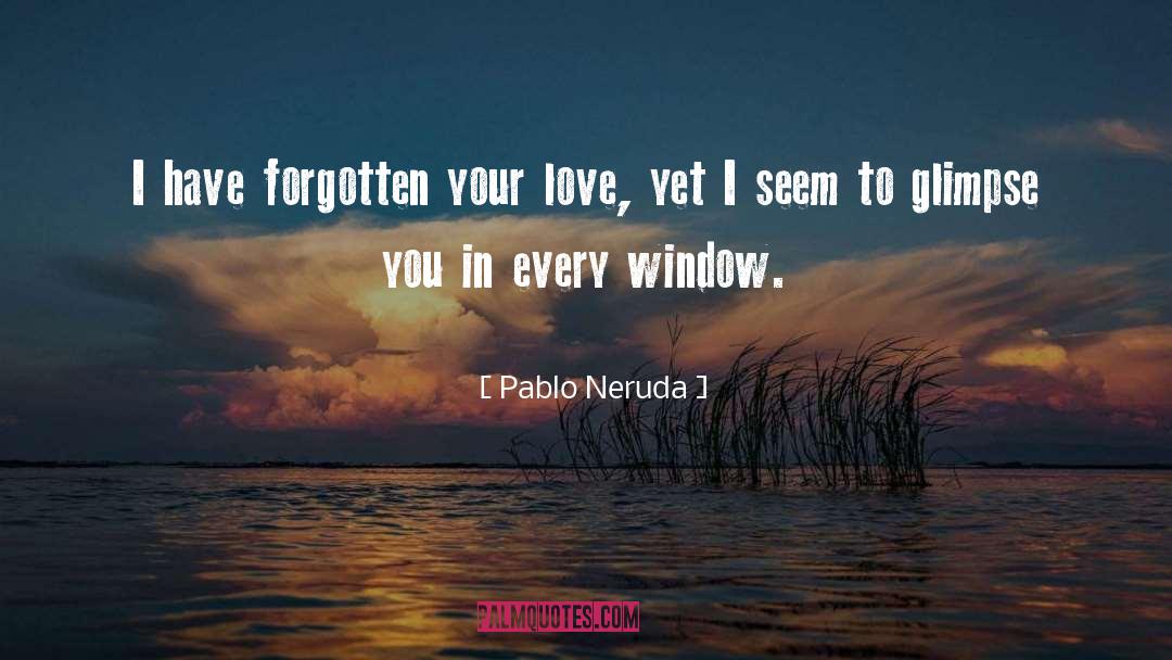 My Ex Fell In Love quotes by Pablo Neruda