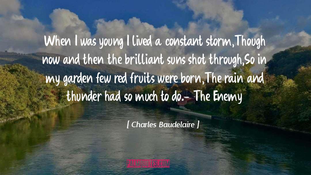 My Garden quotes by Charles Baudelaire