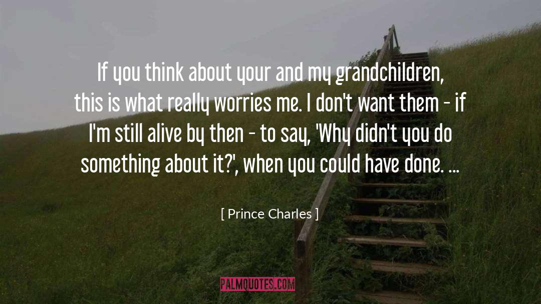 My Grandchildren quotes by Prince Charles