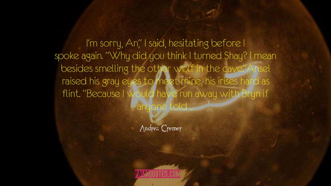 My Guardian Angel quotes by Andrea Cremer