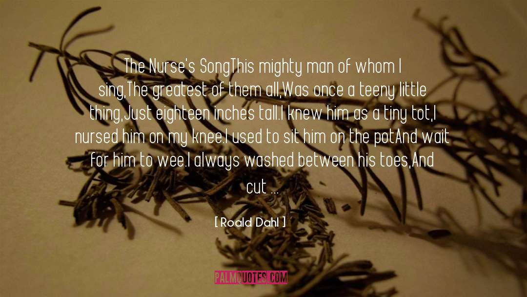 My Heart Flows Through This Song quotes by Roald Dahl