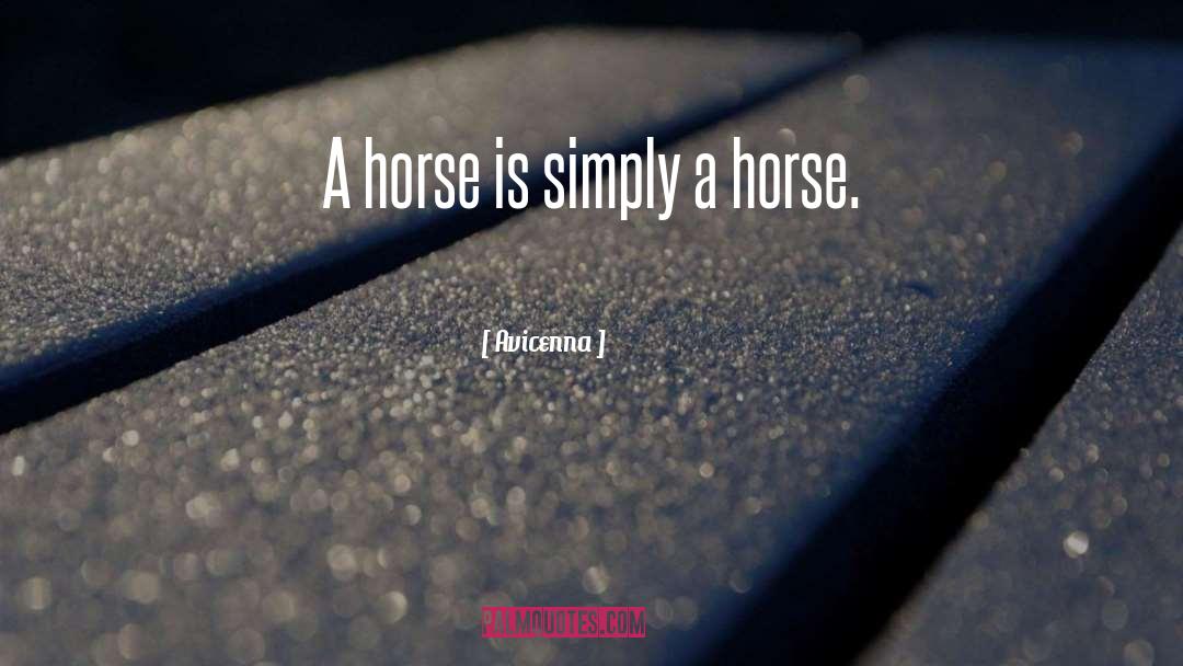 My Horse My Kingdom For A Horse Quote quotes by Avicenna