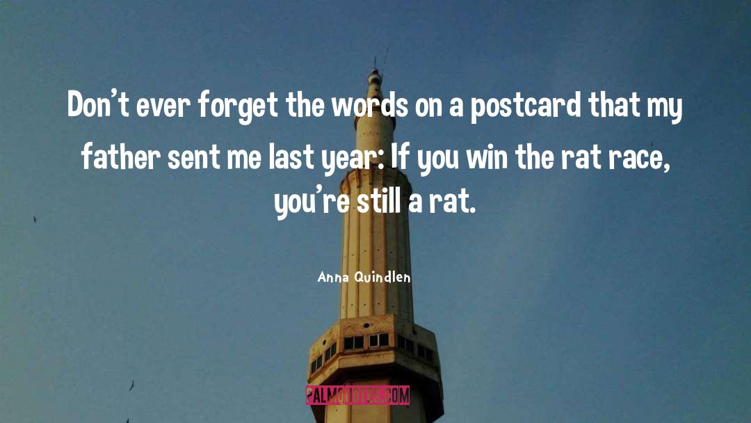 My Last Landlady quotes by Anna Quindlen