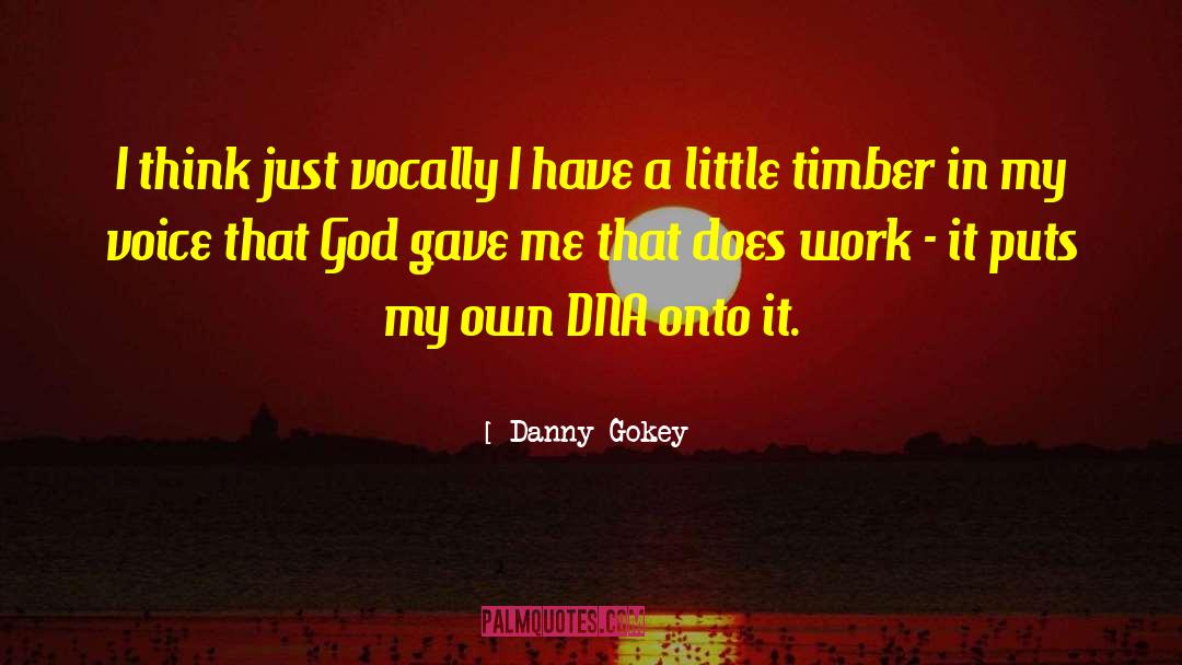 My Little Brother quotes by Danny Gokey