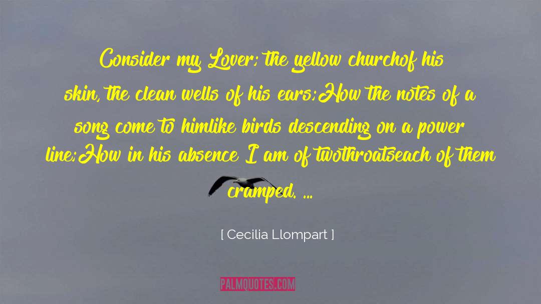 My Lover quotes by Cecilia Llompart