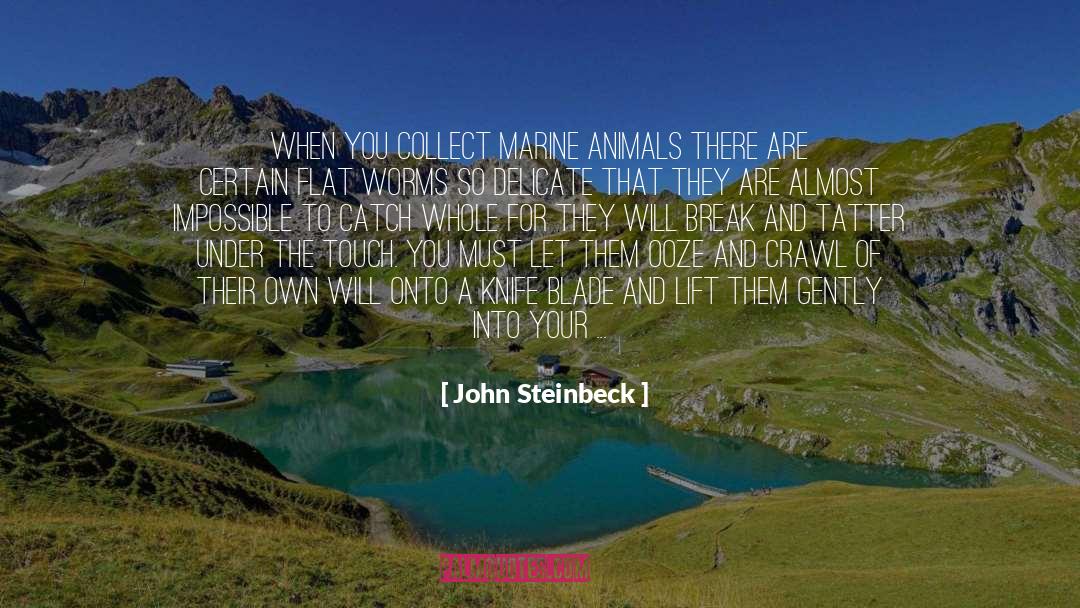 My Marine quotes by John Steinbeck