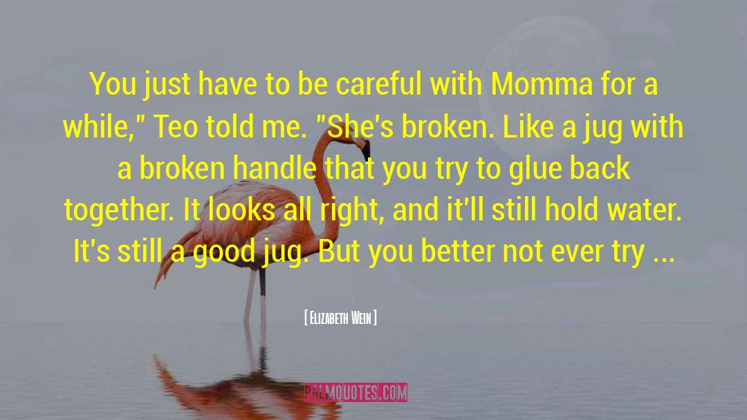 My Momma quotes by Elizabeth Wein