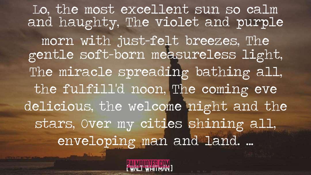 My Most Excellent Year quotes by Walt Whitman