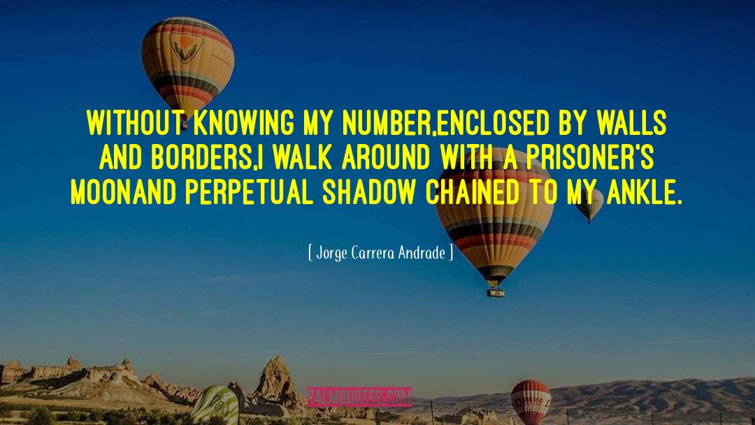 My Number quotes by Jorge Carrera Andrade