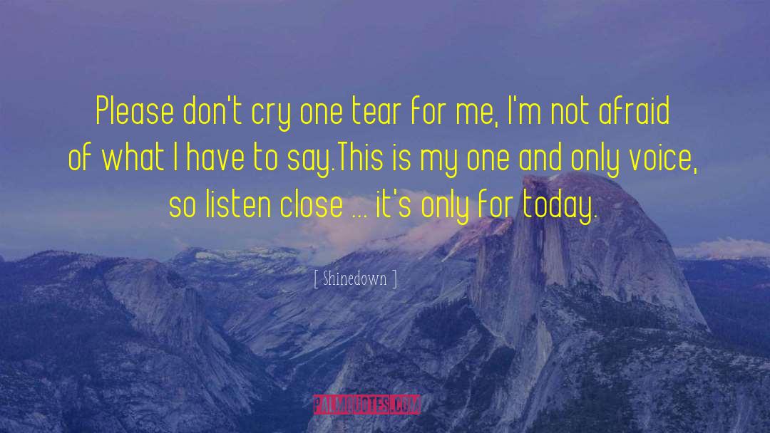 My One And Only quotes by Shinedown
