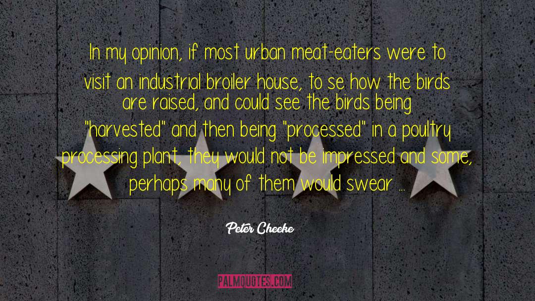 My Opinion quotes by Peter Cheeke