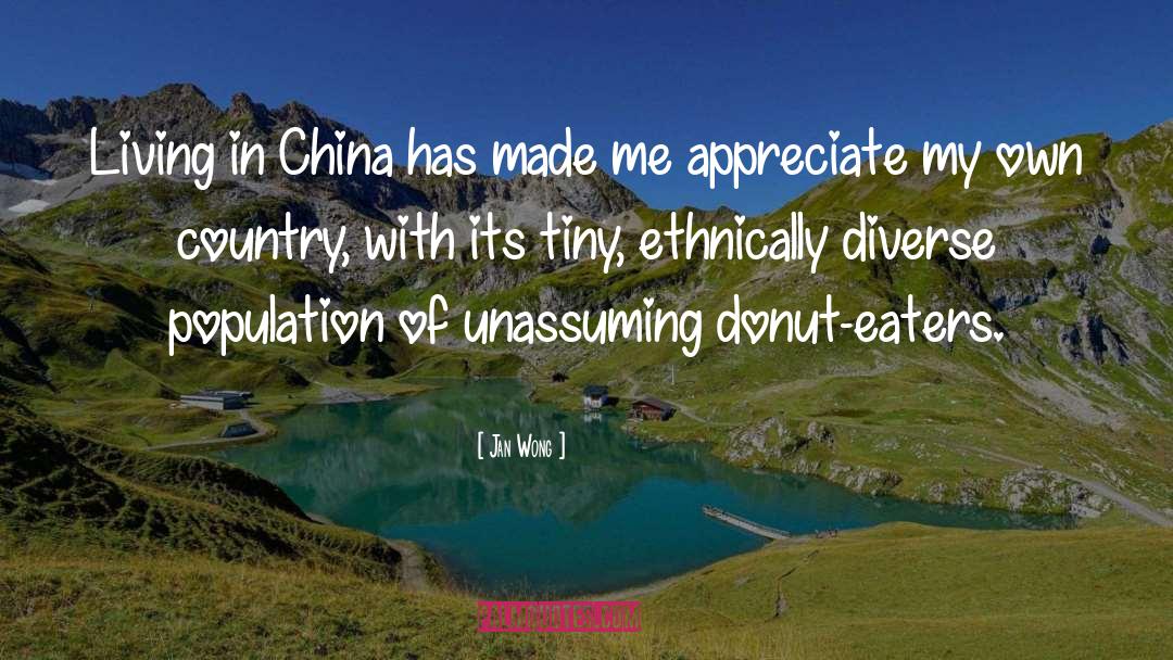 My Own Country quotes by Jan Wong