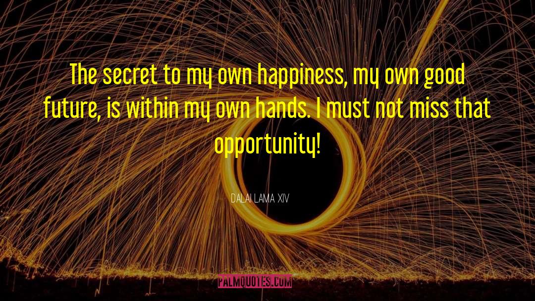 My Own Happiness quotes by Dalai Lama XIV