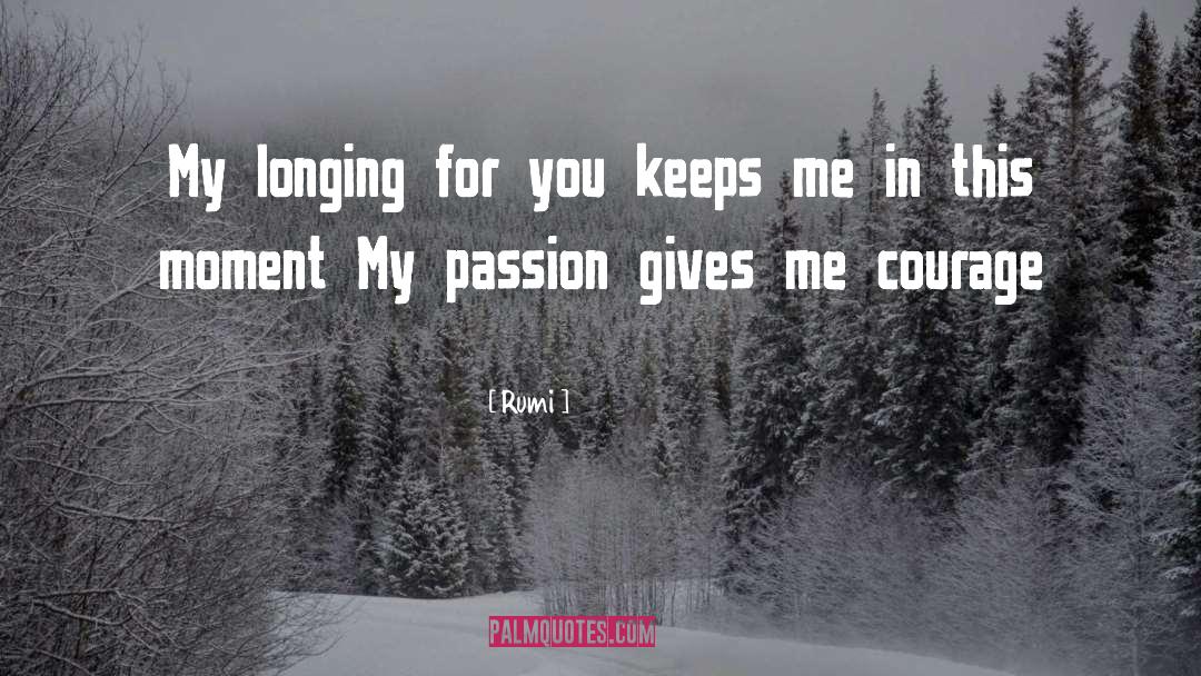 My Passion quotes by Rumi