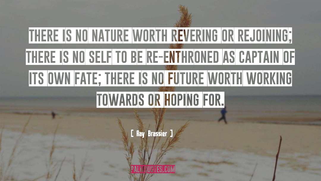My Self Worth quotes by Ray Brassier