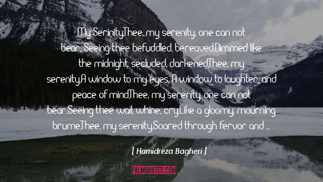 My Serenity quotes by Hamidreza Bagheri
