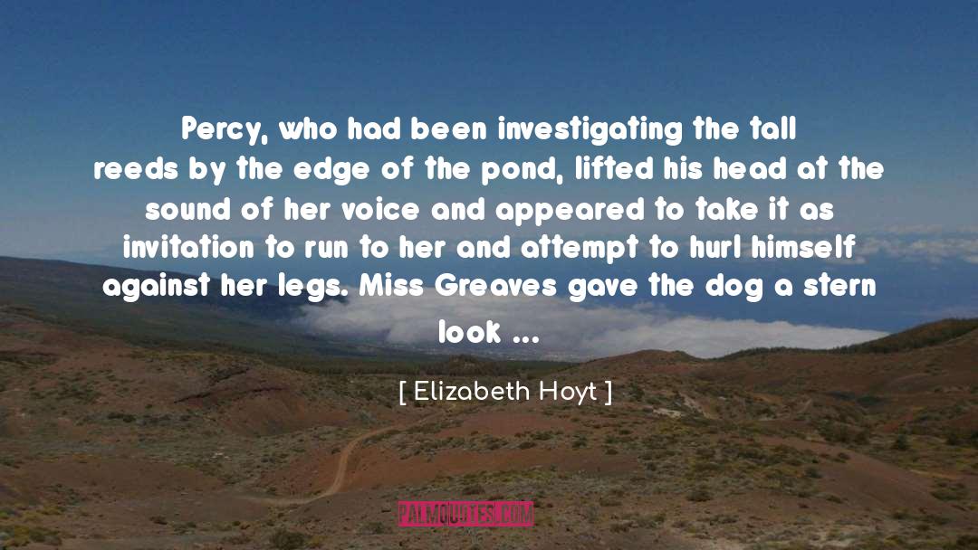 My Shot quotes by Elizabeth Hoyt