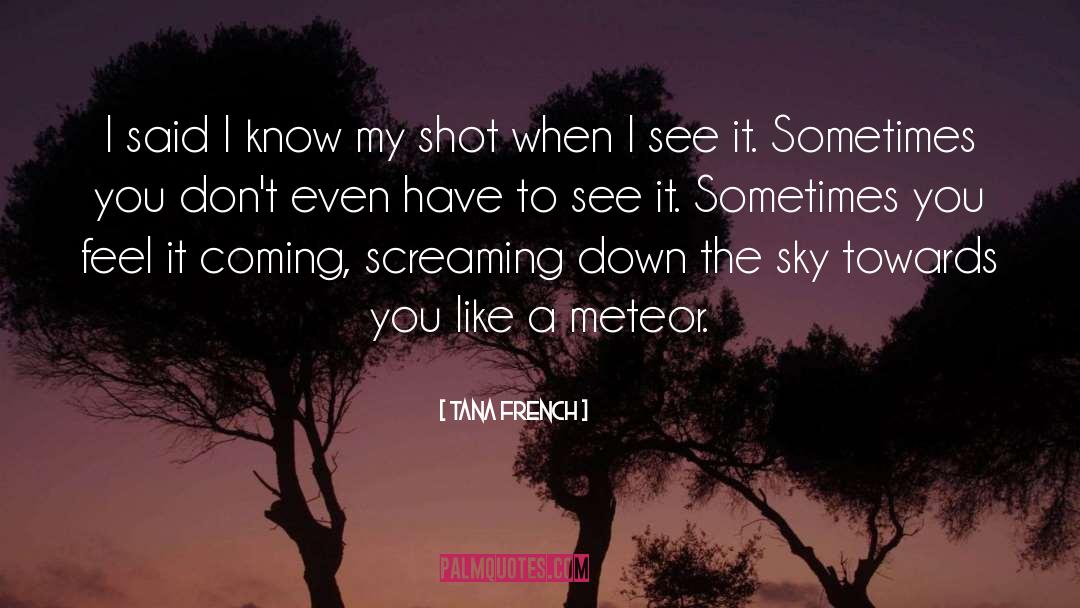 My Shot quotes by Tana French