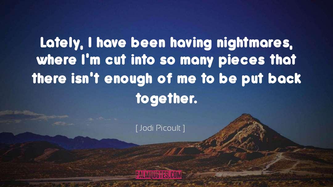My Sister 27s Keeper quotes by Jodi Picoult