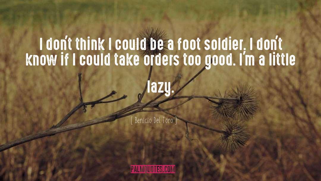 My Soldier quotes by Benicio Del Toro
