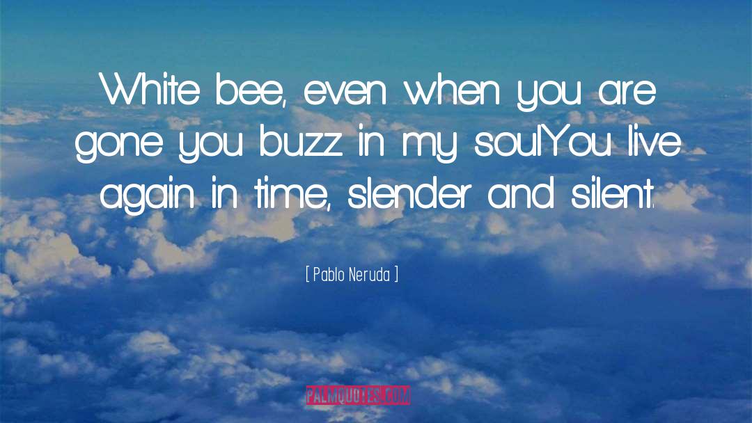 My Soul Dances quotes by Pablo Neruda