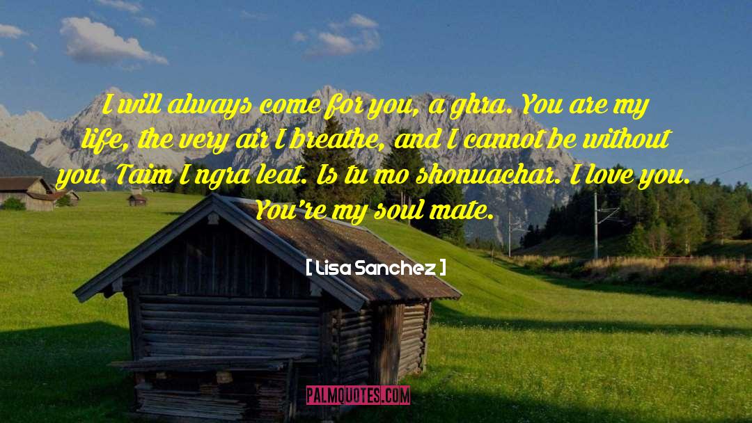 My Soul Mate quotes by Lisa Sanchez