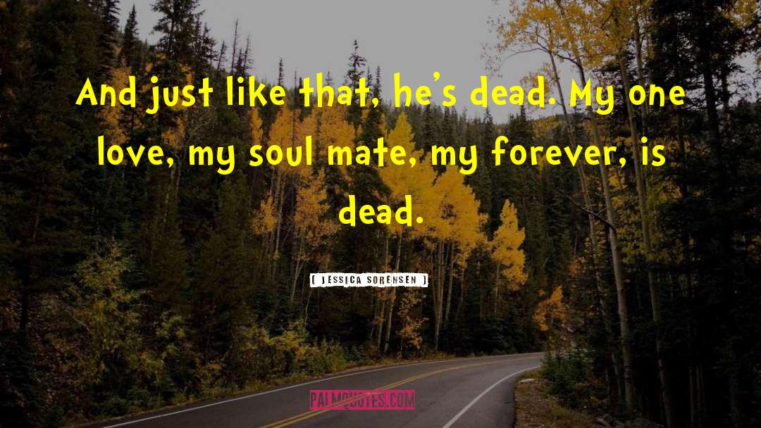 My Soul Mate quotes by Jessica Sorensen